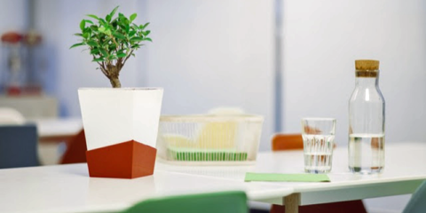 Una maceta inteligente que riega y cuida las plantas automáticamente