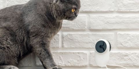 MiJia Smart Camera, una cámara para la videovigilancia IP en el hogar inteligente