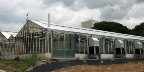 Green Labs: Internet de las Cosas aplicada a la gestión y monitorización de invernaderos