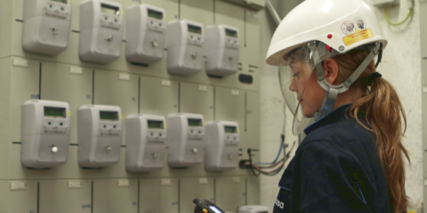 El 95% de los contadores de Endesa serán inteligentes a finales de 2017