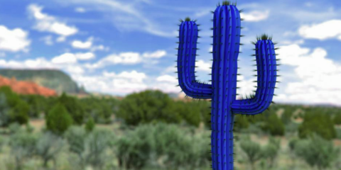 Concepto Cactus, una iniciativa para la concienciación en la ciberseguridad de la videovigilancia