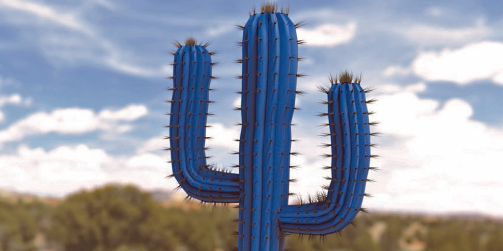 Concepto Cactus