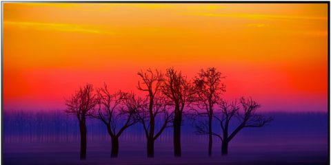 Televisores OLED de LG con Inteligencia Artificial para controlarlos con comandos de voz