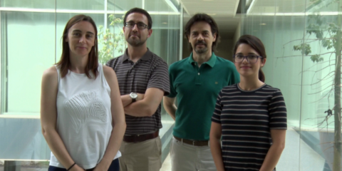 El proyecto Wavecombe garantizará la máxima calidad del 5G en el interior de recintos con gran afluencia