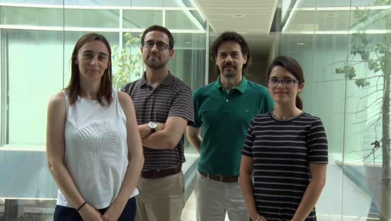 La Universidad Politécnica de Valencia lidera el proyecto Wabecombe