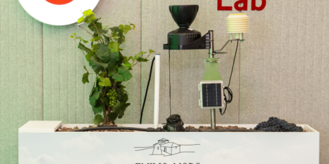 Bodega Emilio Moro monitoriza su viñedo gracias a la solución de Big Data ofrecida por Vodafone