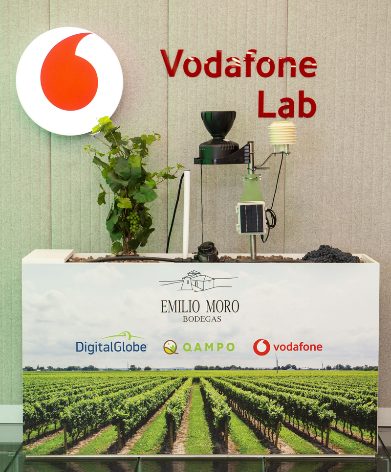 Bodegas Emilio Moreno monitoriza sus viñedos con la solución de Vodafone Sensing4Farming.