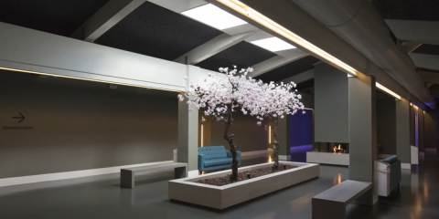 The Domintell experiences