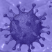 La Comisión Europea dispone de 164 millones para buscar soluciones innovadoras que frenen el brote de coronavirus