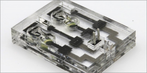 La Universidad de Binghamton en Nueva York desarrolla una célula biosolar con bacterias