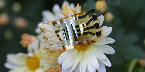 Investigadores internacionales desarrollan una célula fotovoltaica de 2 centímetros cuadrados para dispositivos IoT