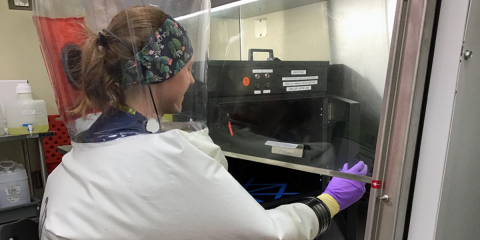 La investigación de Signify y la Universidad de Boston confirma la efectividad de la luz UV-C