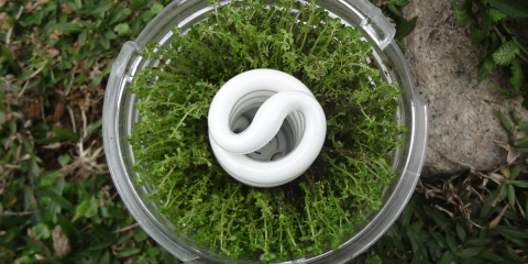 Signify impartirá un webinar sobre ‘Economía circular aplicada a la iluminación’