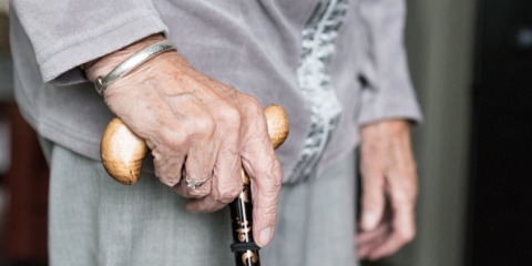 La plataforma del proyecto Smart Bear ayudará a ofrecer atención personalizada a personas mayores