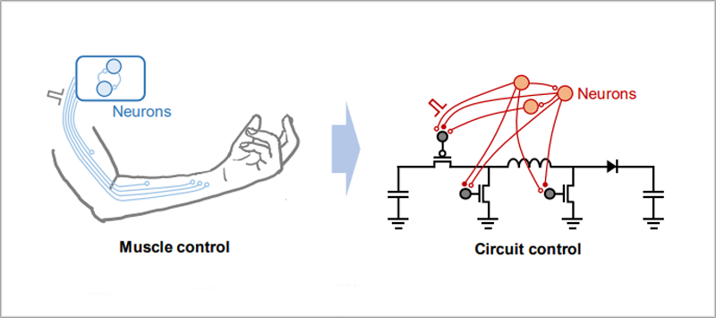 Esquema circuito de control neuronal.