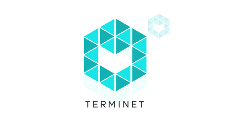 Proyecto Terminet.