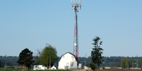 Consulta pública sobre las bases reguladoras de las ayudas del Programa Unico-Demanda Rural