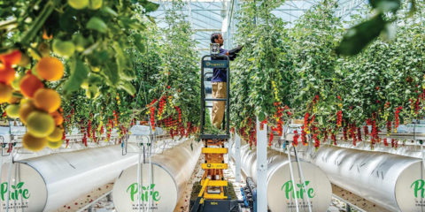 Las granjas inteligentes de Pure Harvest optimizan el consumo energético con la tecnología de ABB
