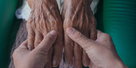 El Ayuntamiento de Zaragoza adjudica el contrato de teleasistencia que incluye mejoras domóticas