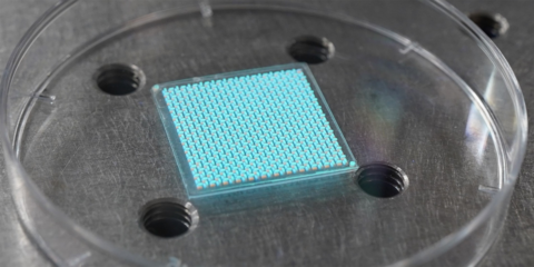 Crean un nuevo sensor de campo de luz para generar escenas 3D con alta resolución angular