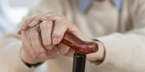 La UPCT participa en una propuesta para establecer criterios comunes en los pilotos del proyecto Pharaon