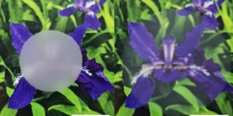 La ACS crea una película que bloquea longitudes de onda con la contracción y expansión del material