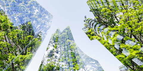 Un estudio de Schneider Electric muestra que los edificios eléctricos y digitales reducen las emisiones