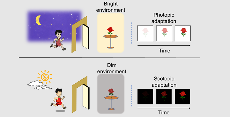 Sensor bioinspirado de CAS.