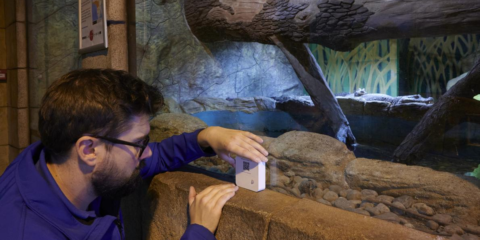 El programa Data-Driven Innovation instalará una red IoT en escuelas del suroeste de Escocia