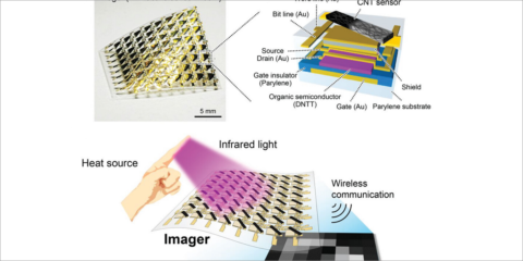 La Universidad de Osaka desarrolla un sensor óptico orgánico, ultrafino y flexible para detectar la luz