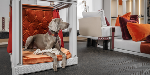 Los sistemas domóticos de Jung se integran en una caseta inteligente para mascotas expuesta en el MIAD