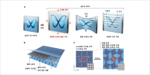 Metaestructura oxetic, la estructura que utiliza el KAIST para desarrollar pantallas estirables sin distorsión