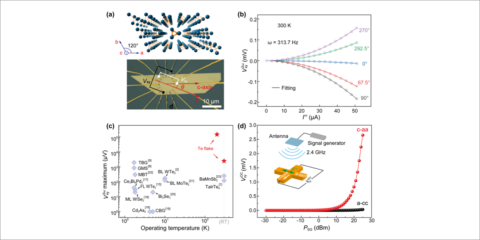 La USTC descubre los efectos Hall no lineales del telurio para la rectificación de frecuencia