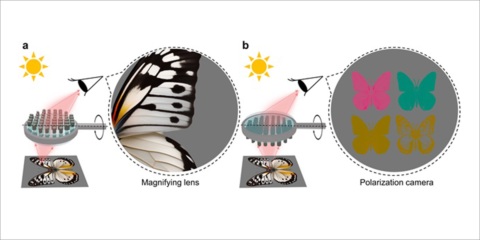 El KAIST presenta una solución capaz de combinar dos sistemas ópticos independientes para la RV