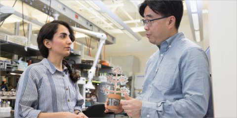 La Universidad de Binghamton crea una planta artificial que purifica el aire interior y genera energía