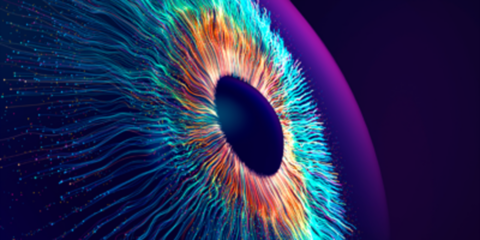 El informe de la industria de la Alianza WBA muestra un crecimiento del uso de wifi y OpenRoaming