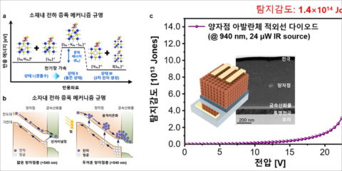 El KAIST crea una nueva tecnología de sensores infrarrojos para mejorar los dispositivos de fotodiodos