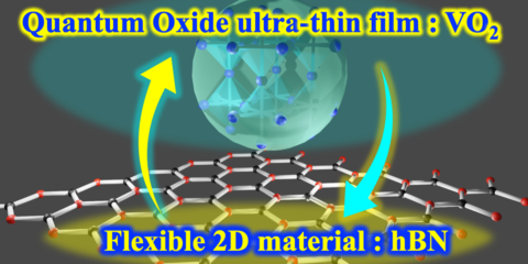 La Universidad de Osaka investiga películas flexibles con conductividad eléctrica para dispositivos