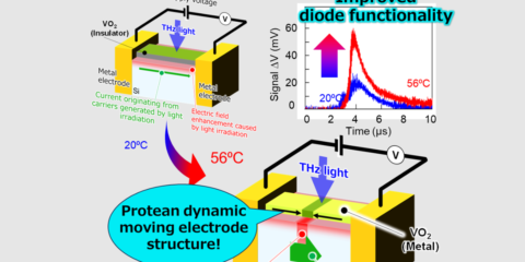 Las redes conductoras controladas por temperatura mejoran el rendimiento de dispositivos de silicio
