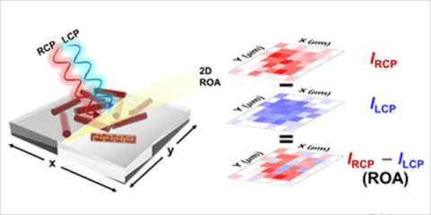 Nuevo material semiconductor que distingue la luz con rotación derecha e izquierda para dispositivos ópticos
