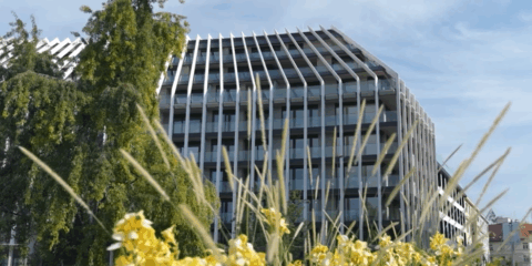 Sistemas de intercomunicación 2N en el complejo Victoria Palace