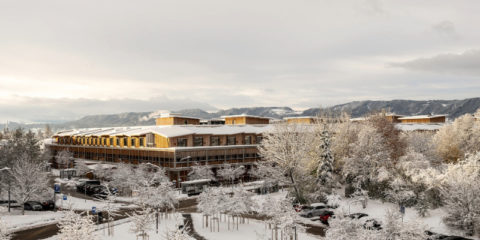 Zumtobel ilumina el espacio de luz Skyspace Sustenance 2024 en el Hospital Infantil de Zúrich