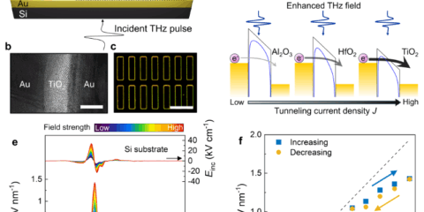 Investigadores del Unist desarrollan un dispositivo cuántico capaz de operar a velocidades ultrarrápidas