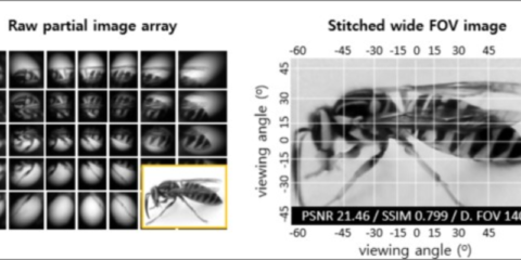 El Kaist desarrolla una cámara ultrafina con campo de visión amplio y alta resolución