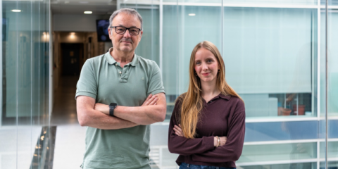 La UPV lidera el desarrollo de un chip fotónico reprogramable de alta velocidad y bajo consumo