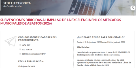Nuevas ayudas para modernizar y digitalizar los mercados municipales de abastos en Castilla y León
