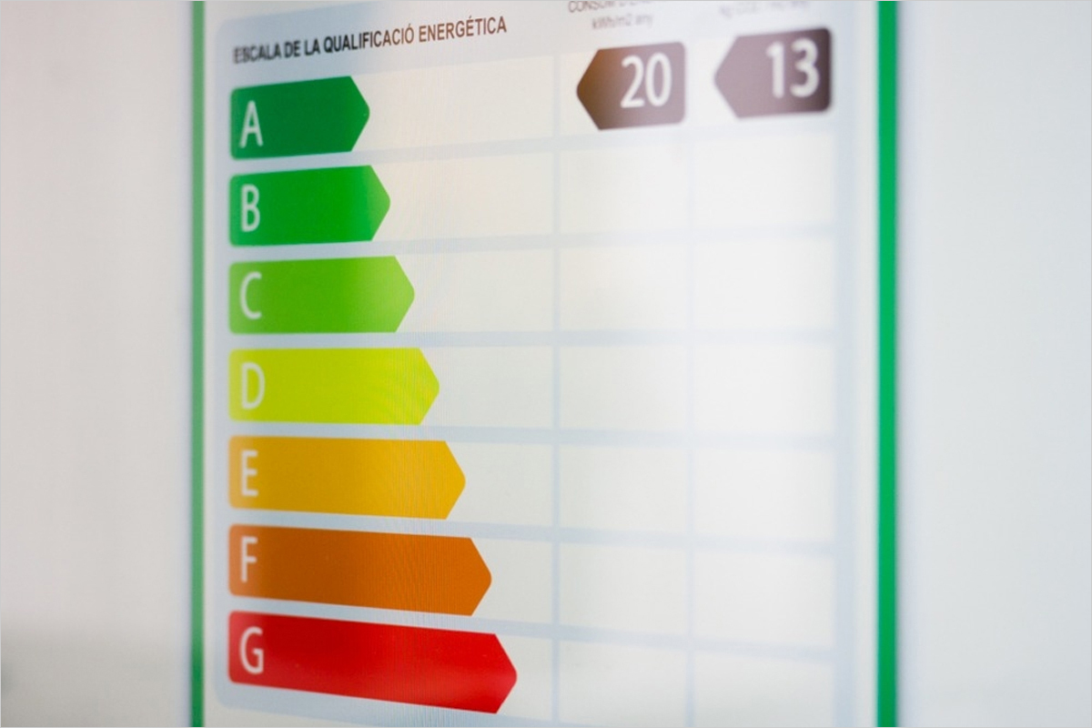 A audiencia pública la reforma del sistema CAE con nuevas subastas de ahorro energético
