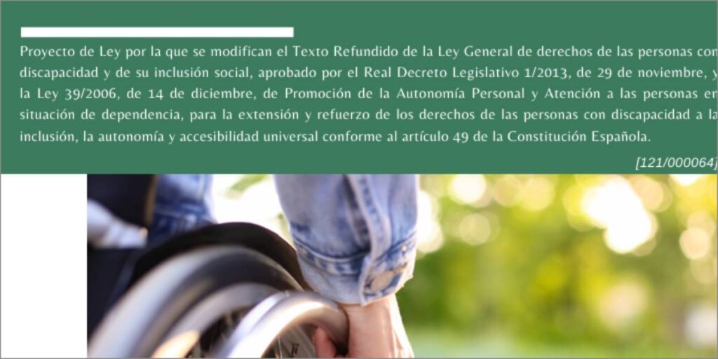 Ley General de derechos de las personas con discapacidad y de su inclusión social