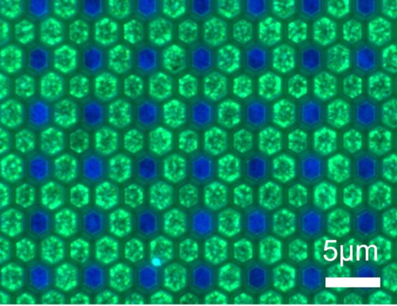 Imagen microscopía de fluorescencia de subpíxeles azules y verdes con paso de 5 μm, fabricada por epitaxia secuencial sobre un sustrato de GaN/Si de 200 mm.