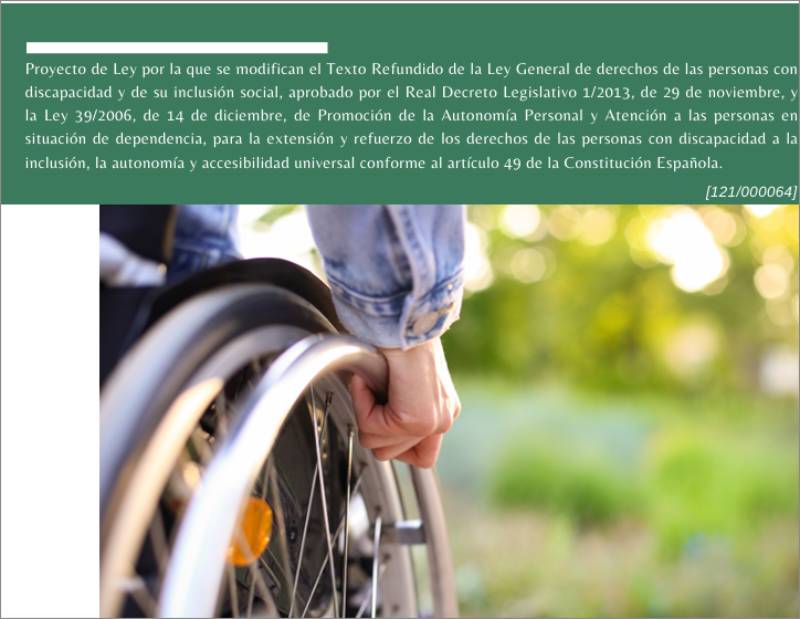 Ley General de derechos de las personas con discapacidad y de su inclusión social